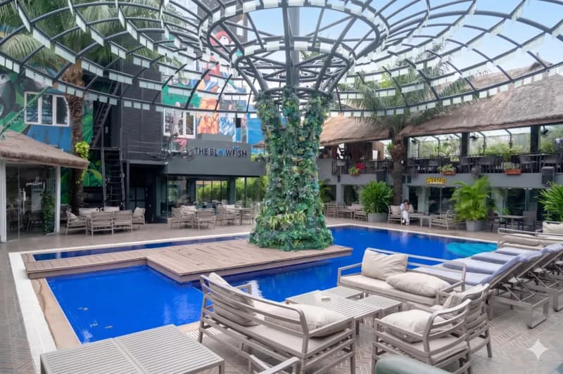 The Blow Fish Hotel